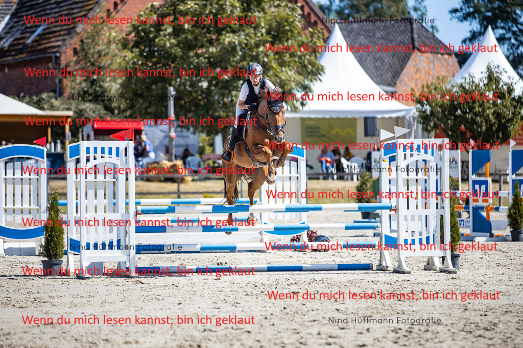 BK1A5507 | Turnierbilder Turnierfotos Nina Hüffmann Turnierfotografie Pferdefotografie Tierzeichnung Haustierzeichnung Pferdezeichnung Hundezeichnung Videograf  - Realisiert mit Pictrs.com