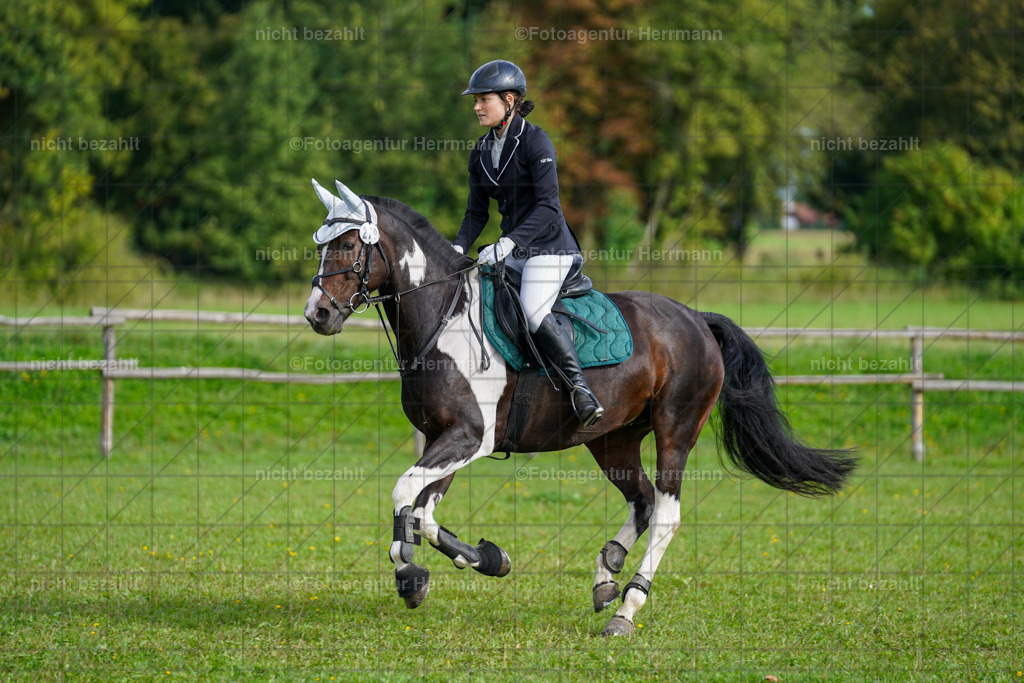 20230917-FAH09123 | Landsberg am Lech, 2023, Kaufbeuren, Kempten, Allgäu, Turnierfotografen Bayern, Fotoagentur Herrmann, Turnierbilder, Reitsport Fotos, Pferdefotograf, Augsburg, Bad Tölz, Dachau, Karlsfeld, Memmingen, Buchloe, Schwabmünchen