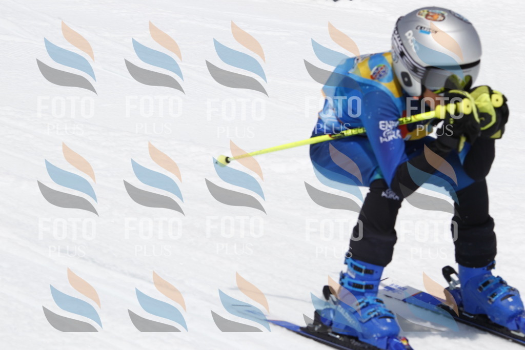 _U3G7904 | holidayphoto