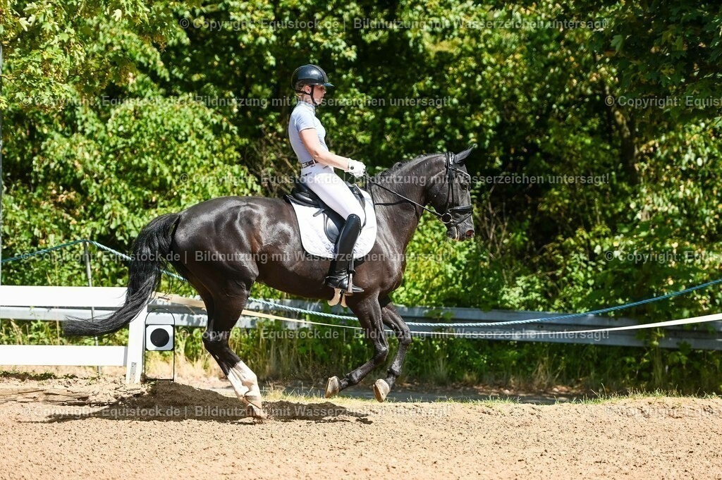 20230715_02_Dressurreiterprüfung Kl.L_0032 | equistock