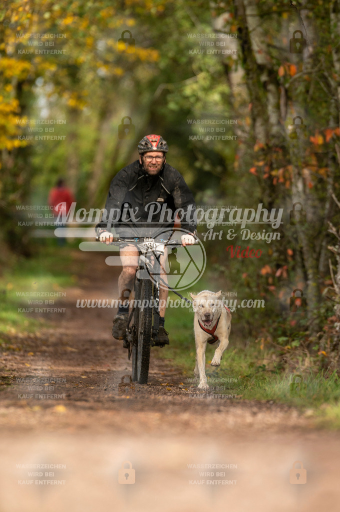 TSB_2023_E4_Bike-81 | PayLife