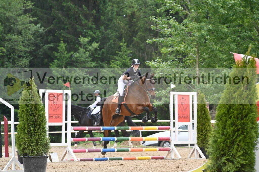 DSC_8450 | equestrian-live-com