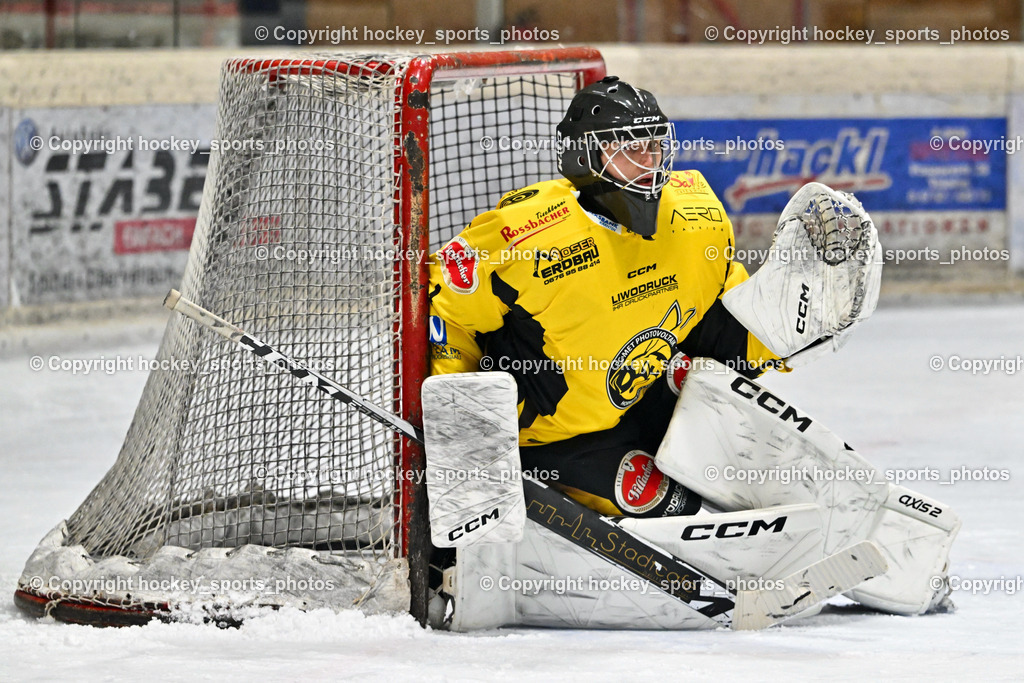 EC Spittal Hornets vs. USC Piraten Velden 7.2.2024 | #1 Zauchner Rene