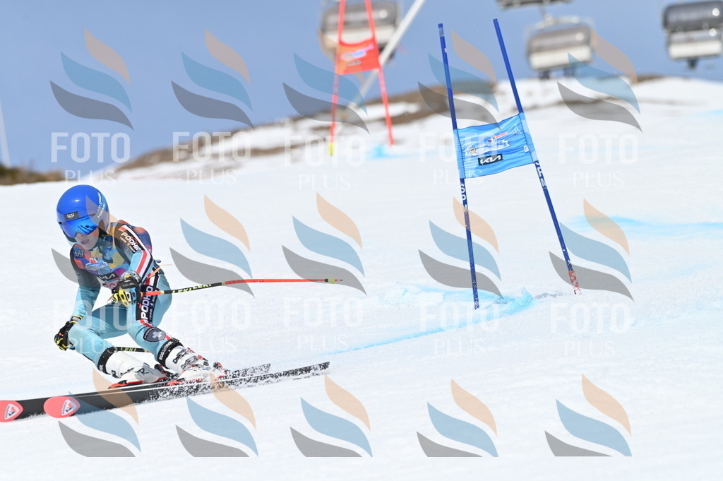 BGV_2222 | holidayphoto