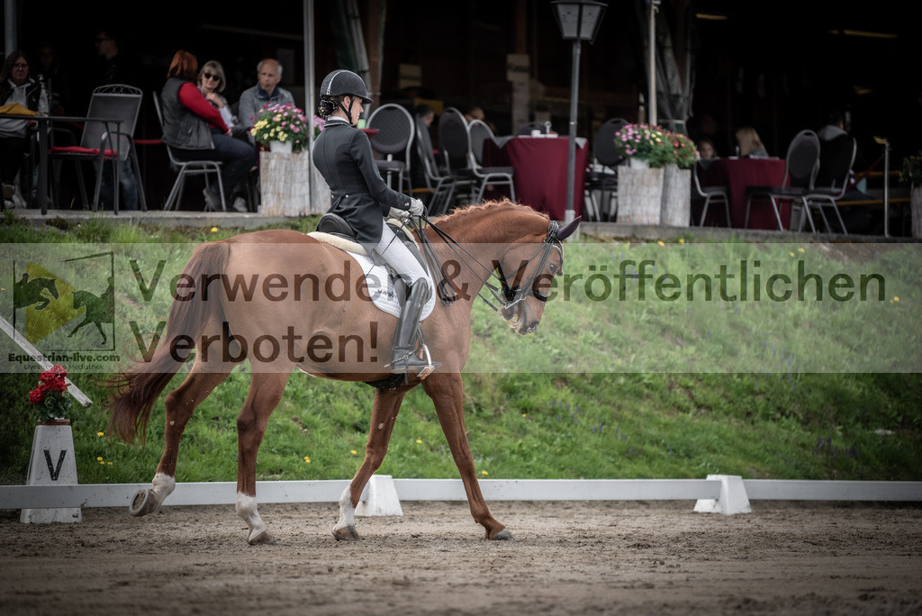 DSC_3117 | equestrian-live-com