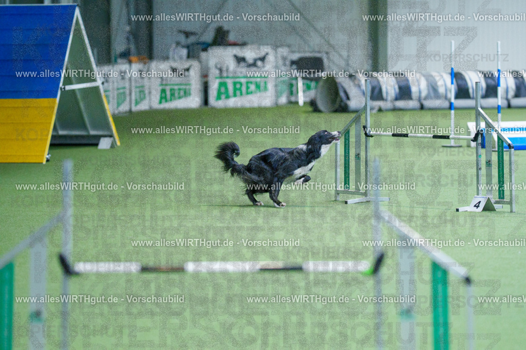 @allesWIRTHgut_Tierfotografie - www.allesWIRTHgut.de - 2604260831-7R507048 | Professionelle Tierfotografie in Mönchengladbach von Daniel Wirth (allesWIRTHgut). Liebevolle & natürliche Bilder von Hunden & Katzen für unvergessliche Erinnerungen.