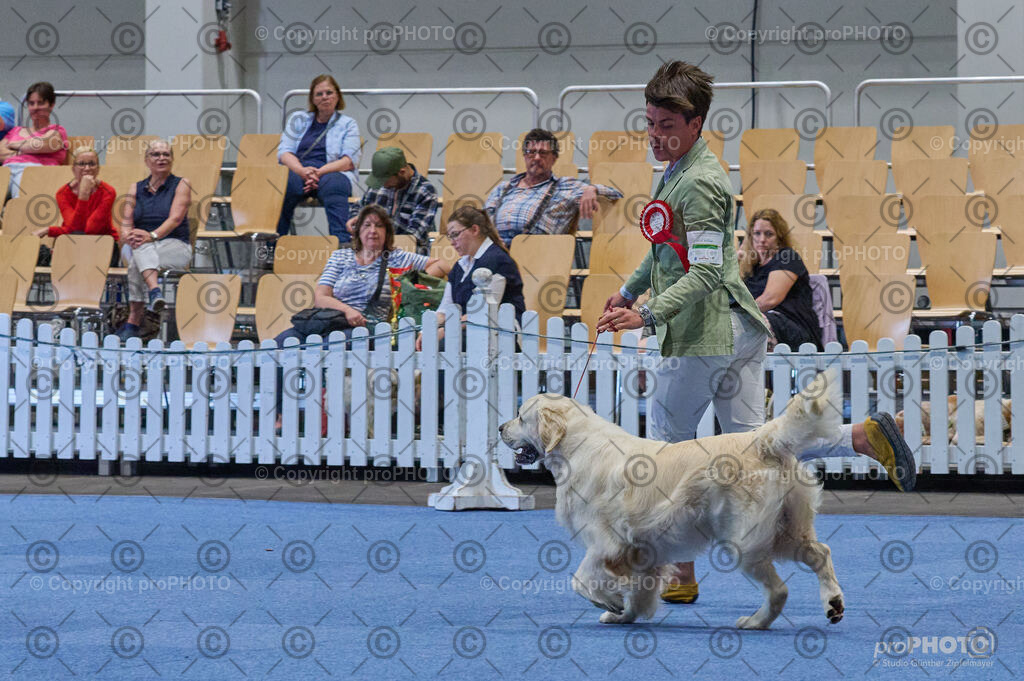 202406_ÖKV-IHA-Tulln24_DSC_5111 | proPHOTO - Realisiert mit Pictrs.com