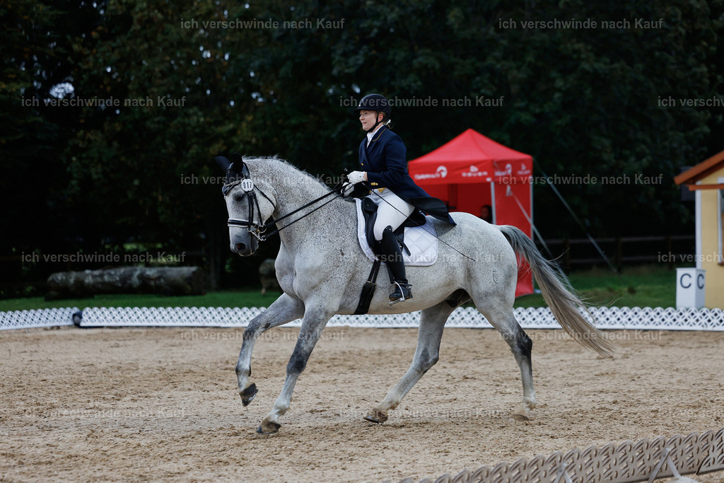8_2-017-DRESSUR S_  -StoibPH-4539 | working equitationturnier fotograf videograf stoibphotography marixx film working equitation deutschland reitsport turnierfotografie eventfotografie equestrian events