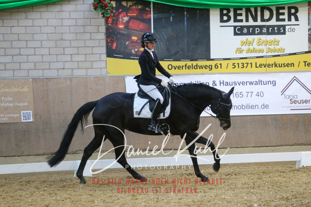 IMG_2927 | Turnierfotos kaufen im Webshop von Daniel Kuhl Photography – entdecke professionelle Reitsportfotos aus Turnieren & Events. Hochwertige Turnierbilder online bestellen & sichern. Jetzt Fotos von Reitsportturnieren kaufen!