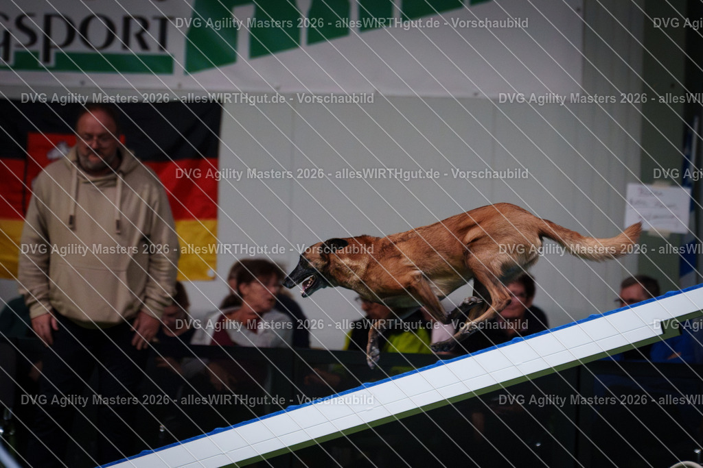 allesWIRTHgut_Tierfotografie-DVG_Agility_Masters_2026-16_39-7R508363 | Professionelle Tierfotografie in Mönchengladbach von Daniel Wirth (allesWIRTHgut). Liebevolle & natürliche Bilder von Hunden & Katzen für unvergessliche Erinnerungen.