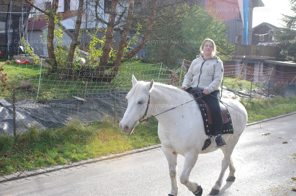 IMGP1047 | fotografiert von Axel PollmannLeonhardi Wallfahrt Benediktbeuern und Murnau, Fronleichnam, Fasching, Landschaft im Loisachtal und Benediktbeuern  - Realisiert mit Pictrs.com