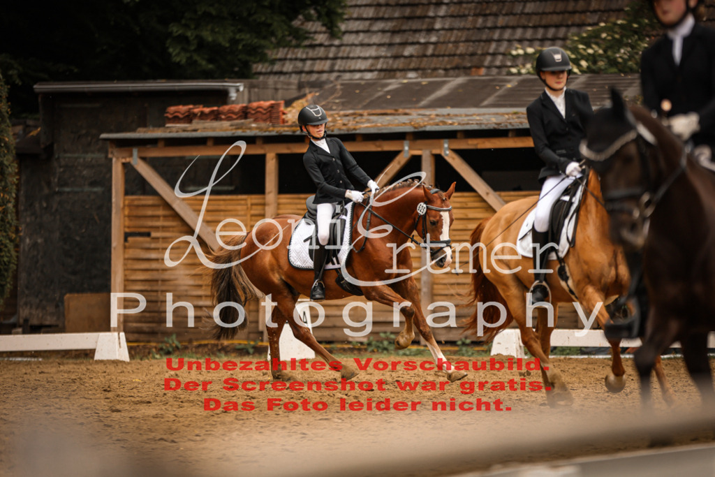 DoDrE00423 | Leoni Ertmer Photography - Realisiert mit Pictrs.com