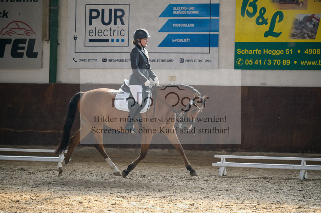 Reitturnier Voxtrup | Entdecke hochwertige Reitturnierfotos von Foto Oger. Professionell, emotional und authentisch – jetzt Lieblingsmomente im Shop bestellen.Deutschlandweite Turnierfotografie. - Realisiert mit Pictrs.com