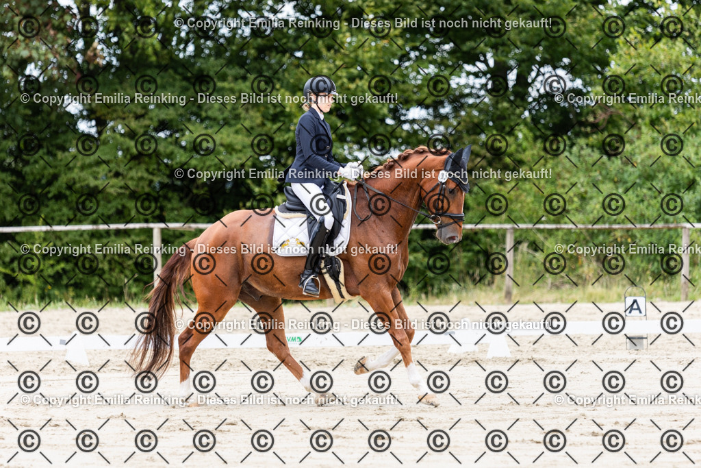 CL5A7804 | Emilia Reinking Fotografie - Realisiert mit Pictrs.com