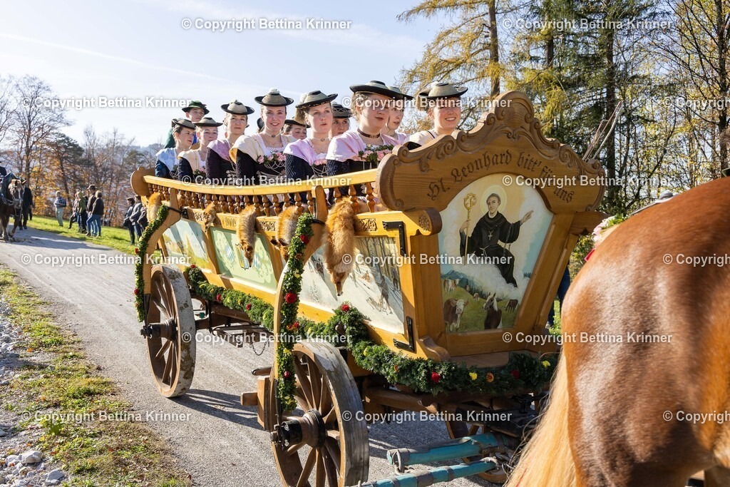LBT24-1359 | foto-bettina-krinner - Realisiert mit Pictrs.com