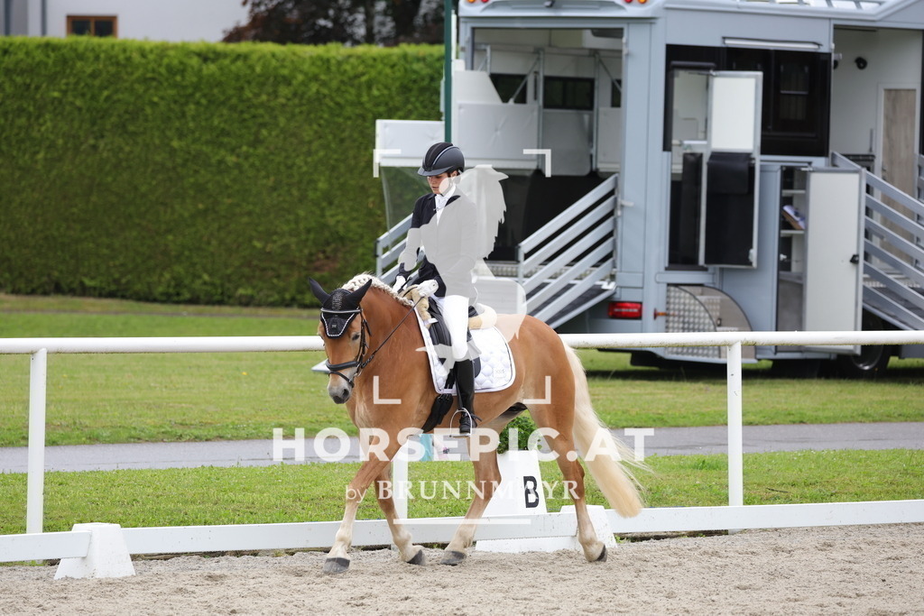 0P6A4414 | Willkommen bei Brunnmayr - Design & Fotografie – Ihrem Spezialisten für Reitturniere und Pferdeveranstaltungen in Oberösterreich, Salzburg und Bayern! Seit über 17 Jahren sind wir leidenschaftlich dabei.