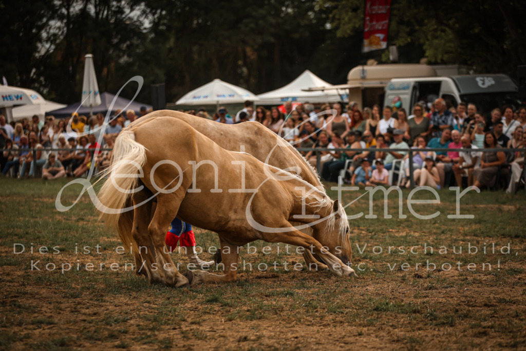 SaShow00054 | Leoni Ertmer Photography - Realisiert mit Pictrs.com