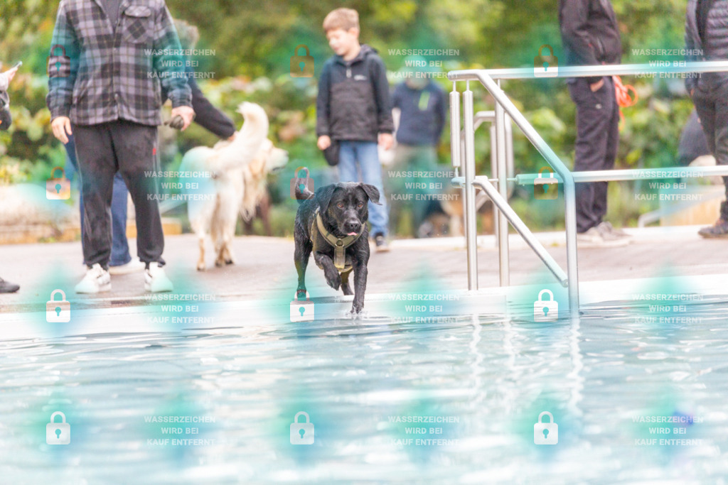 _HP_7354_1000o | HetPix, HetPix Fotodesign, Fotografie, Fotodesign, Webshop, Sportfotografie, Portraitfotografie, Onlineshop, Sportfotografie, Polch, Motorsportfotografie, Eventfotografie