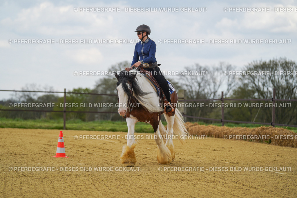 DSC05968 | Pferdegrafie