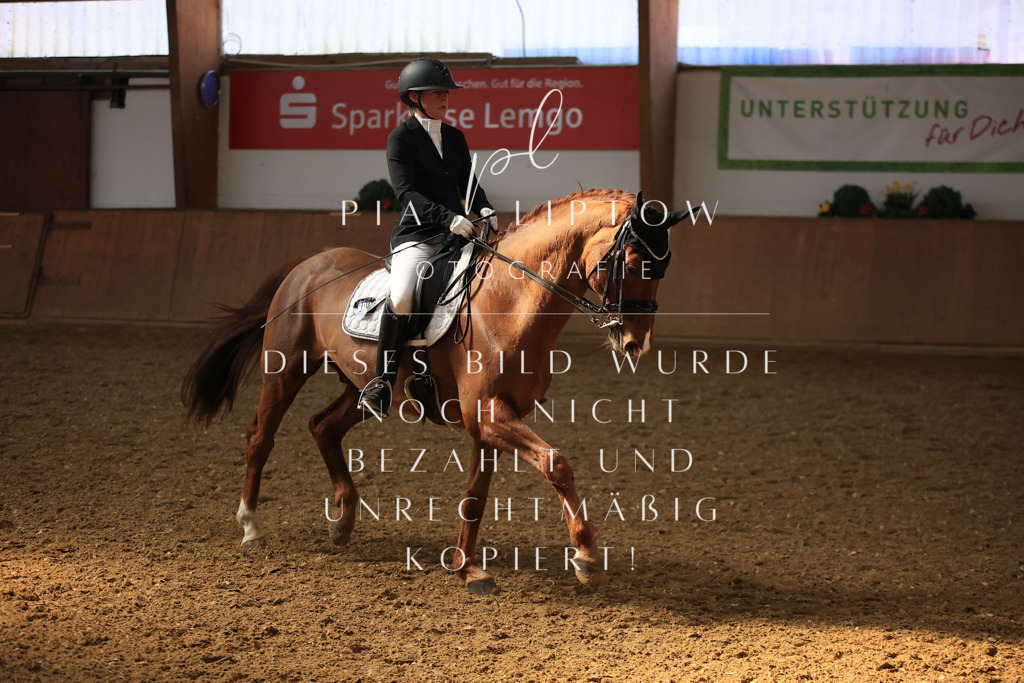 IMGT3405 | pl-fotografie