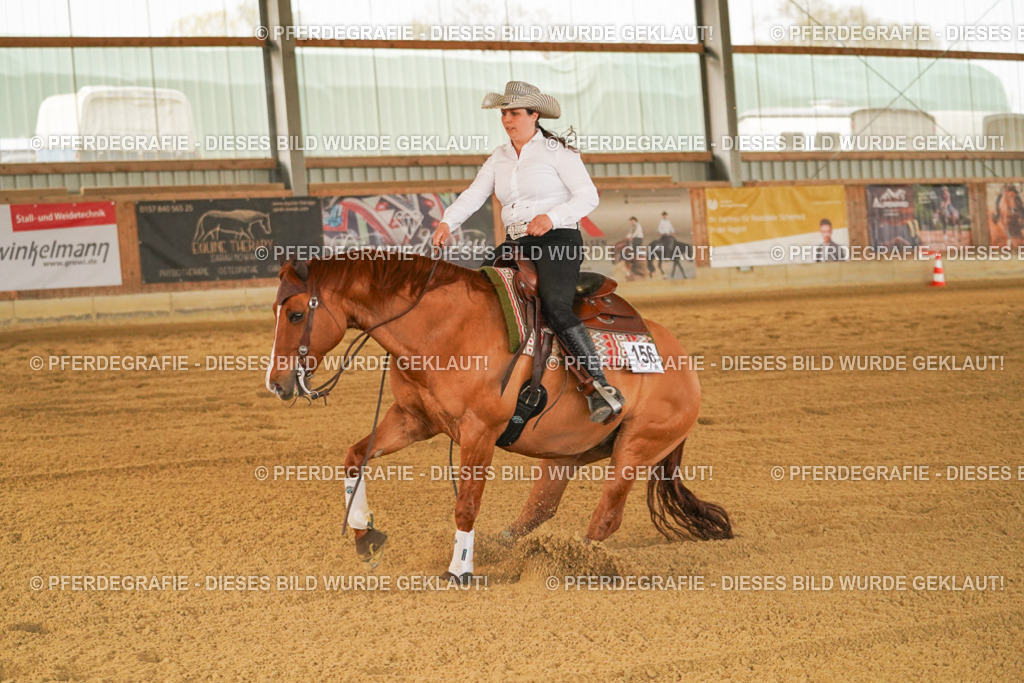 DSC08325 | Pferdegrafie