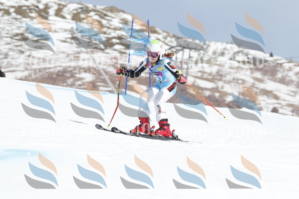 _U3G1600 | holidayphoto