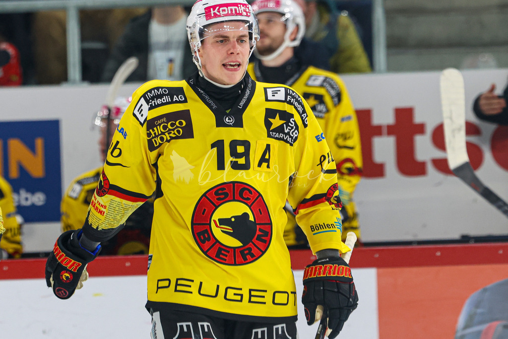 EHCB vs SCB 20260312_wb-4289 | Sportbilder, Sportfotograf, Hochzeits- und Eventfotografin, Flugshows, Portraits und Tiershooting, Aviation, Downhill, Nationalleague, Swissleague, International
