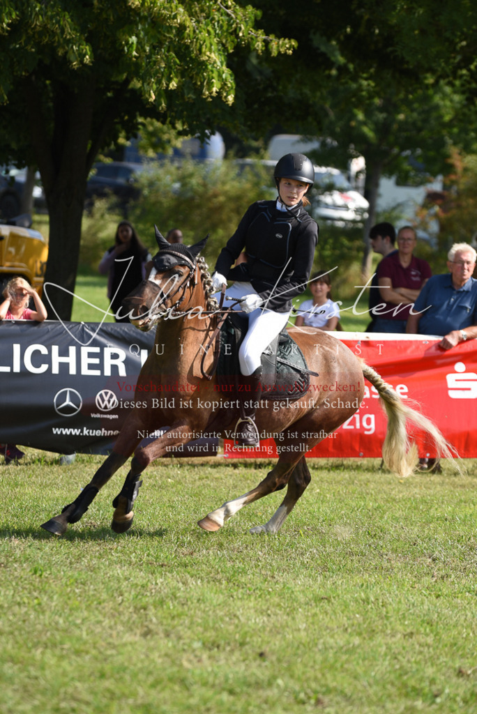 DSC_8945 | Pferde- und Turnierfotografie in Westsachsen. Pferdeportraits, Auftragszeichnungen und intuitive Kunst.