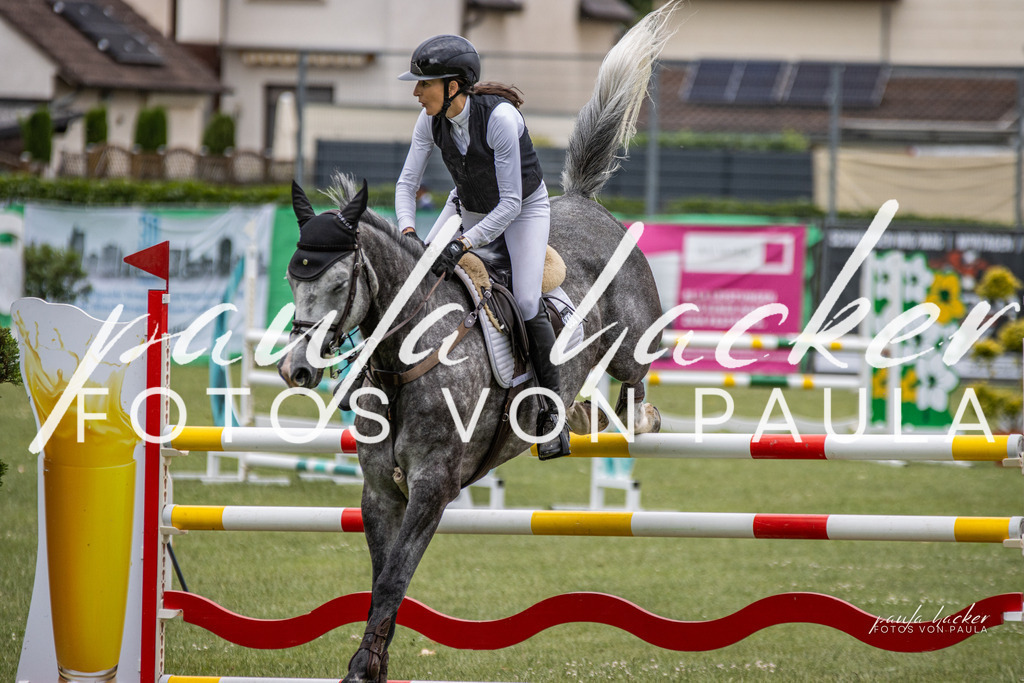 IMG_7115 | Erleben Sie dynamische Sport- und emotionale Tierfotografie in Süddeutschland mit Fotos von Paula. Spezialisiert auf Pferde- und Hundefotografie sowie Sportevents. Kontaktieren Sie mich für einzigartige und ausdrucksstarke Bilder Ihrer besonderen Momente. - Realisiert mit Pictrs.com