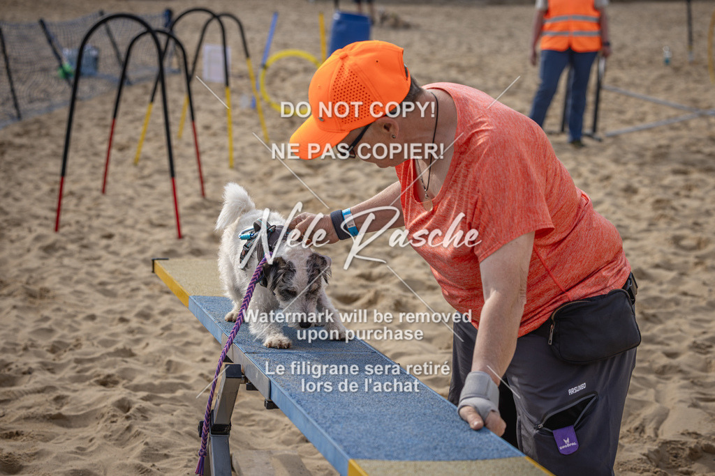 nelerasche_BuHu2026_So09-10_05 | nelerasche