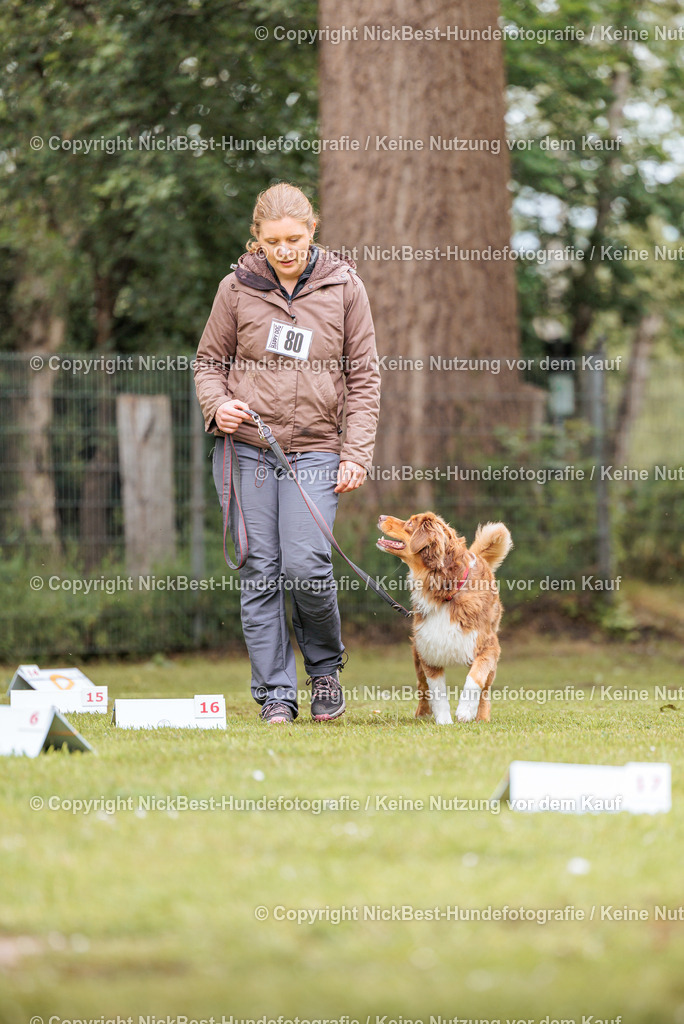 RO-Blumenthal-2026-Nickbest-Hundefotografie-3412 | Dein Hund! Dein Moment! Deine Erinnerungen! Hundefotografie in Bremen Blumenthal. Ich fange die besonderen Momente deines Vierbeiners ein – ob Indoor mit Blitzanlage oder in der freien Natur. Sicher dir dein Moment und dein Termin für eure Erinnerungen.