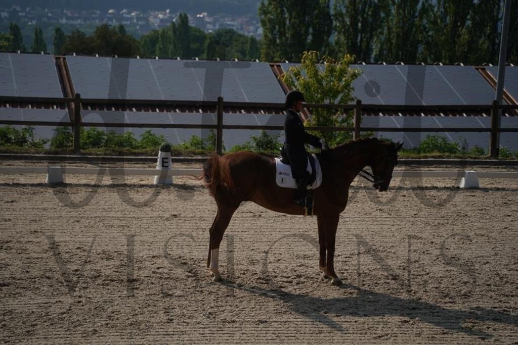 tgbhfreitag (1754) | d.tail Visions - Shop - Realisiert mit Pictrs.com