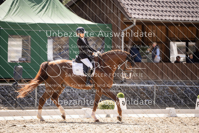 SD_OED_06538 | saradresslerfotografie - Realisiert mit Pictrs.com