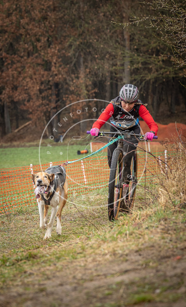 0L8A9035 | Hundefotografie, Tierfotograf, Pfotenfotografie, Fotoshooting Hund, Hunde Portrait, Hundesport, Hundeportraits, Heideshooting, Hunde, Sportfotograf, Hundefotograf, Turnierhundsport, THS,  - Realisiert mit Pictrs.com
