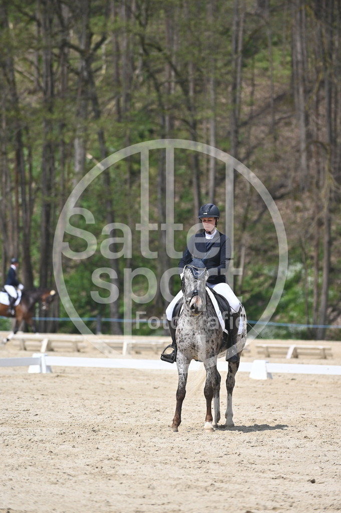 DSC_2316 | sattelsport - Realisiert mit Pictrs.com