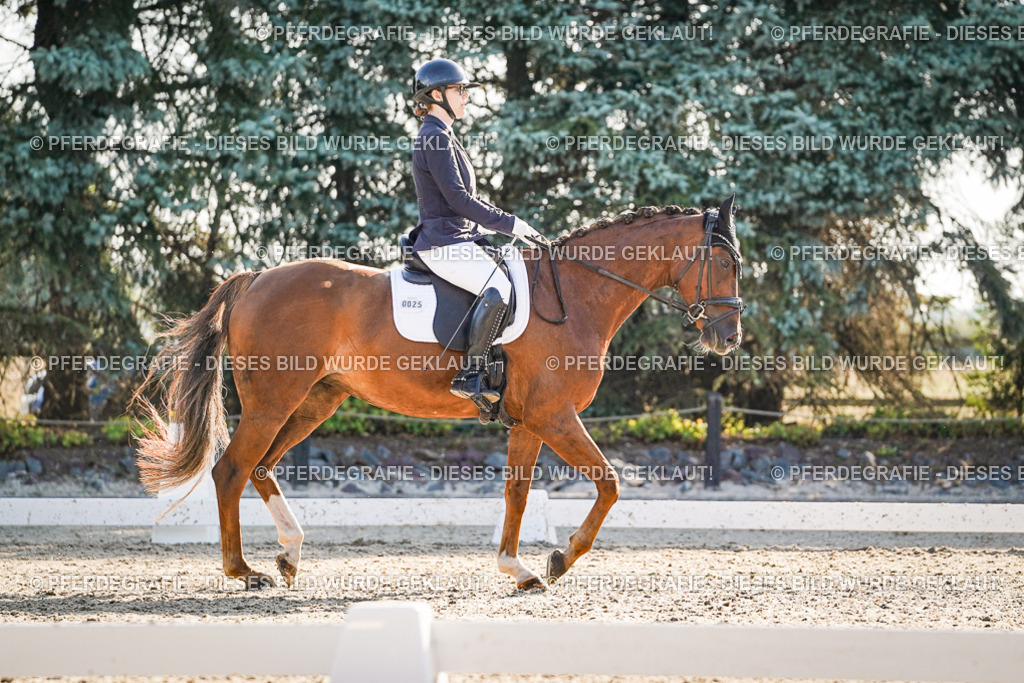 DSC08649 | Pferdegrafie