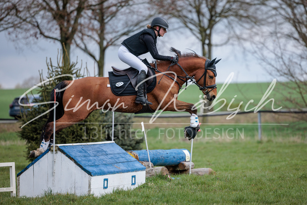 20260329-_3LI4698 | Tierfotografie Pferde, Hunde, Katzen, Haustiere.
Turnierfotografie Reitturniere, Reiten, Springreiten, Dressur in Hanau, dem Main-Kinzig-Kreis und dem Rhein-Main- Gebiet um Frankfurt