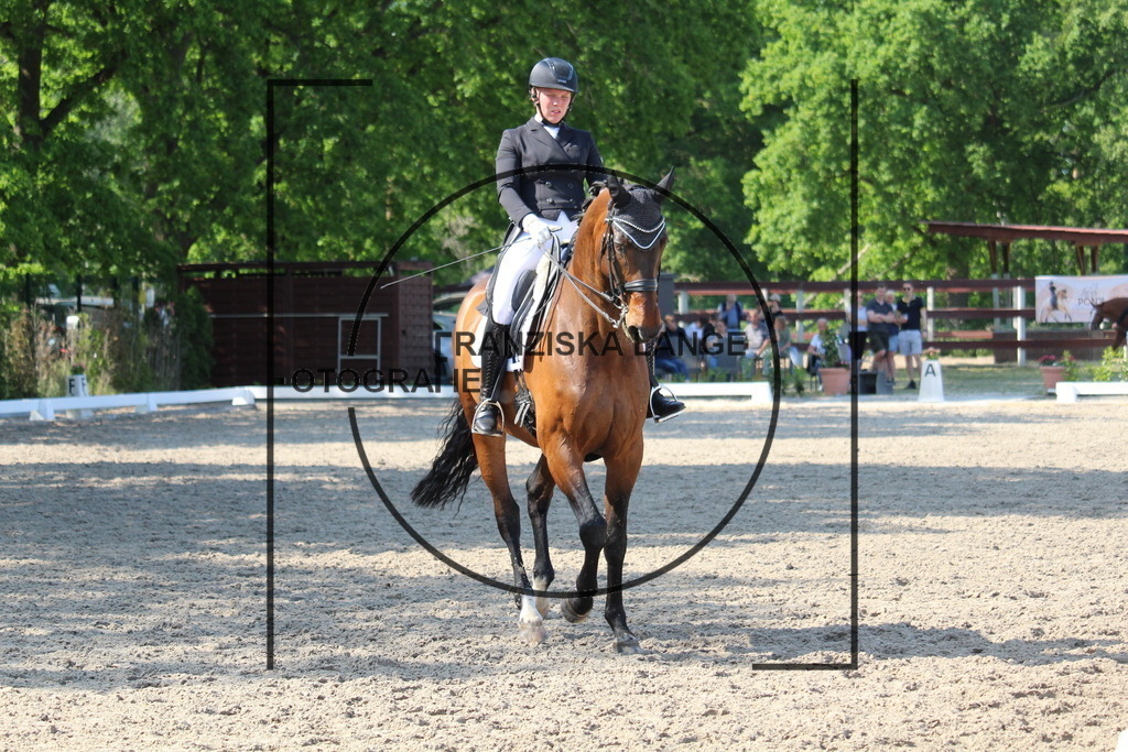 IMG_5633 | franziskalange - Realisiert mit Pictrs.com