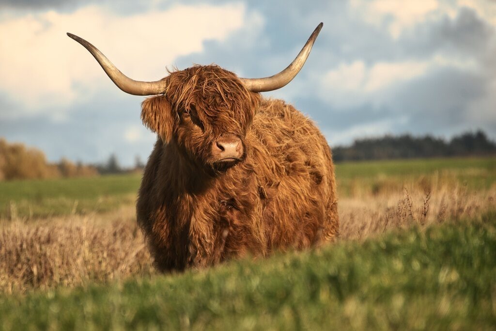 ZFC_7814 | Unvergessliche Erinnerungen in Bildern festgehalten! Ob Hochzeit, Shooting oder Landschaft  - Ich bin dein Fotograf in Erfurt und Umgebung! Photo-Rauch | Sandro Rauch - Realisiert mit Pictrs.com