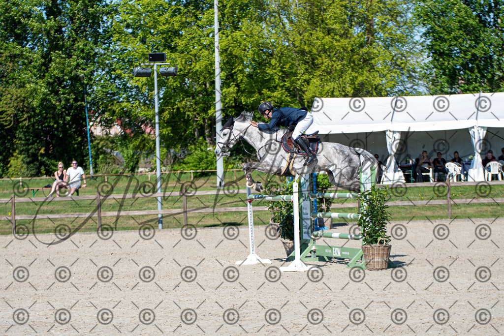 KPT_1608 | andre_photographic