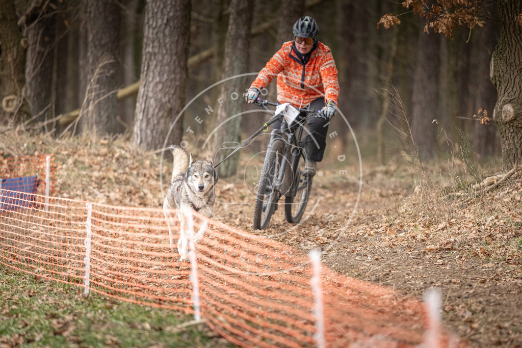 Pfotenfotografie_DV3A1658 | Hundefotografie, Tierfotograf, Pfotenfotografie, Fotoshooting Hund, Hunde Portrait, Hundesport, Hundeportraits, Heideshooting, Hunde, Sportfotograf, Hundefotograf, Turnierhundsport, THS,  - Realisiert mit Pictrs.com