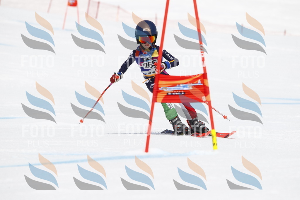 _U3G6632 | holidayphoto