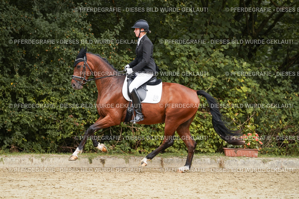 DSC09769 | Pferdegrafie