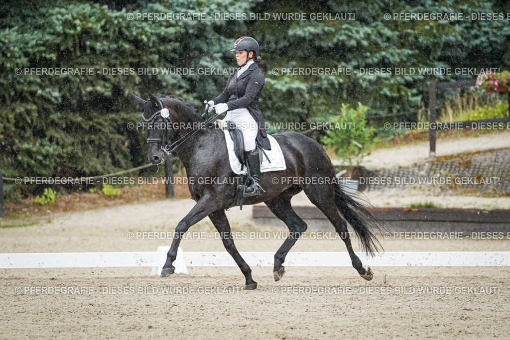 DSC08285 | Pferdegrafie