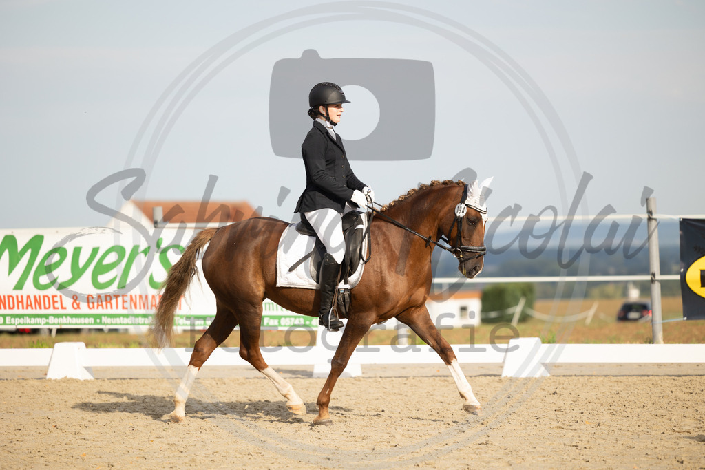 994A0976 | sabrinanicolaifotografie - Realisiert mit Pictrs.com