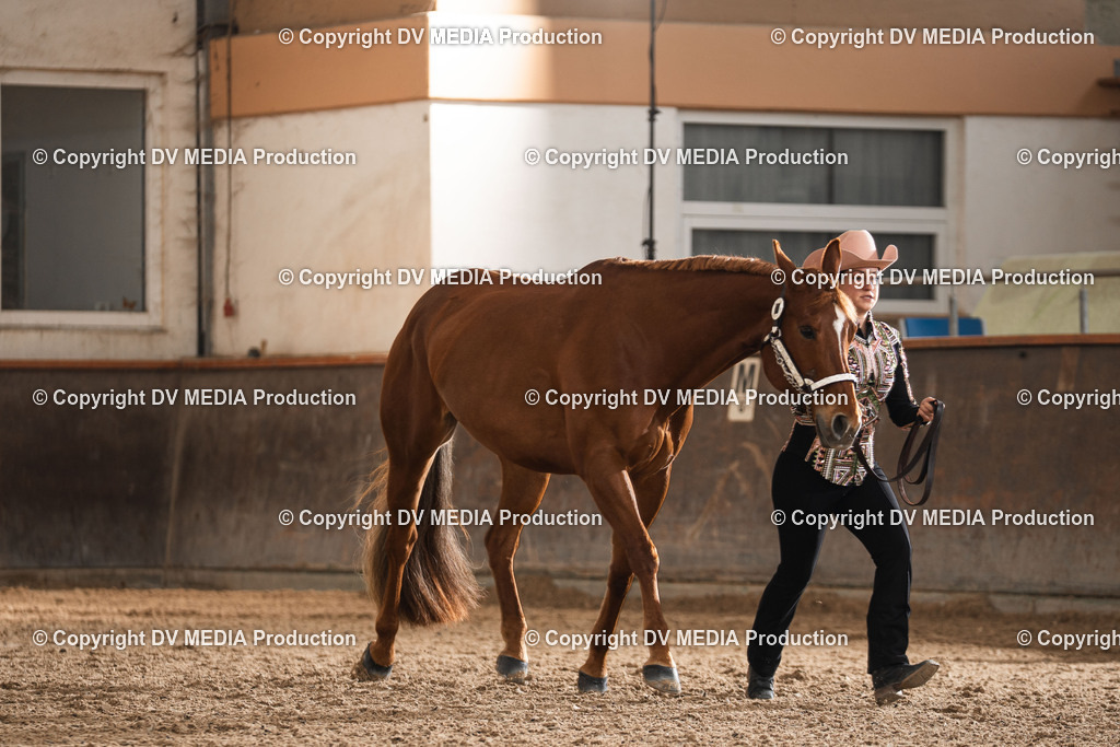 Heiligenwald Tag 2-337 | dv-media-shop - Realisiert mit Pictrs.com