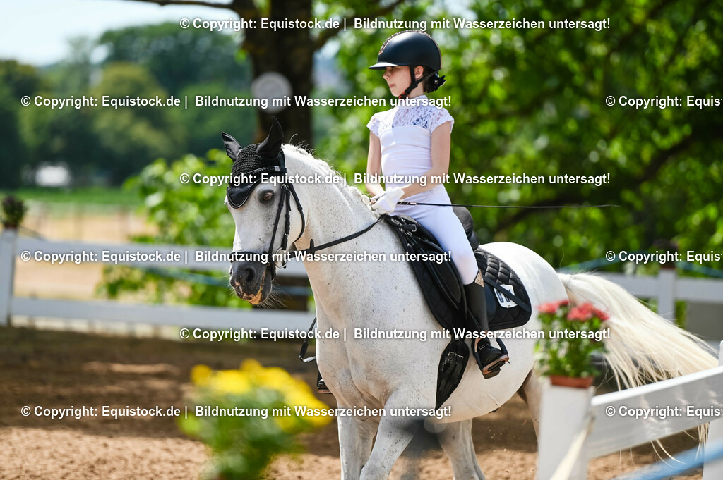 20230715_09_Dressur-WB_0066 | equistock