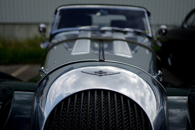 Calag_Oldtimer2025-50 | Ich fotografiere Hundeausstellungen, Sportanlässe, Zuchtstätten, Hundezucht, Hundeportrait, Lagotto - Realisiert mit Pictrs.com