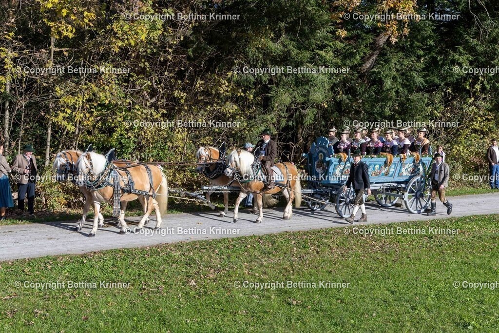 LBT24-840 | foto-bettina-krinner - Realisiert mit Pictrs.com