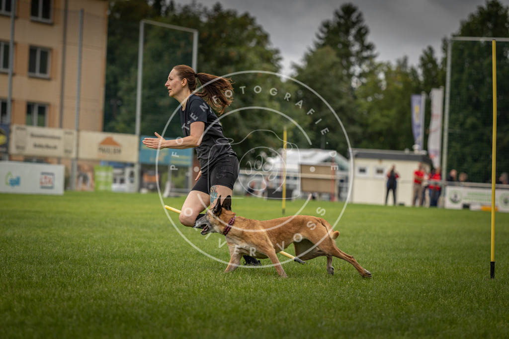 Pfotenfotografie_DV3A7878 | Hundefotografie, Tierfotograf, Pfotenfotografie, Fotoshooting Hund, Hunde Portrait, Hundesport, Hundeportraits, Heideshooting, Hunde, Sportfotograf, Hundefotograf, Turnierhundsport, THS,  - Realisiert mit Pictrs.com